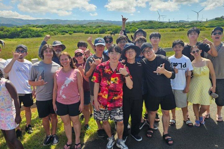 Oahu : Excursion d'une journée sur l'île Circle | Arrêt sur la plage, WiFi gratuit et avantages