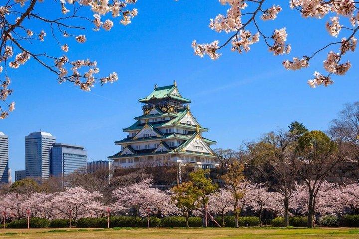 Osaka Port Cruise Terminal Transfer to and from Osaka Hotels