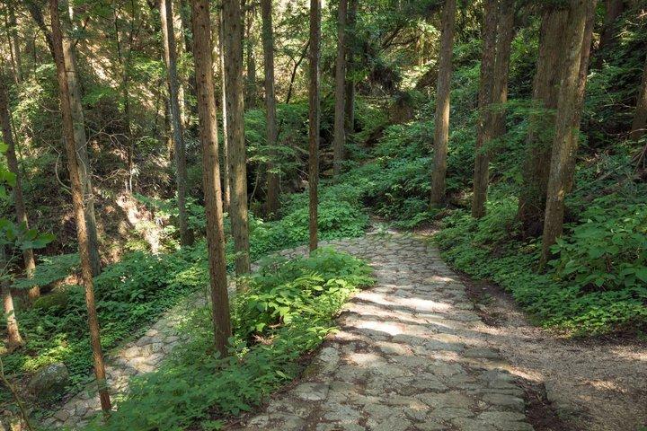 Randonnée sur le sentier historique de Nakasendo [Excursion d'une journée au départ de Nagoya]