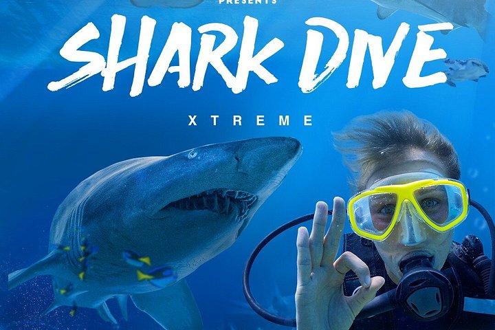 Experiência de mergulho com tubarões no Aquário de Melbourne SEA LIFE