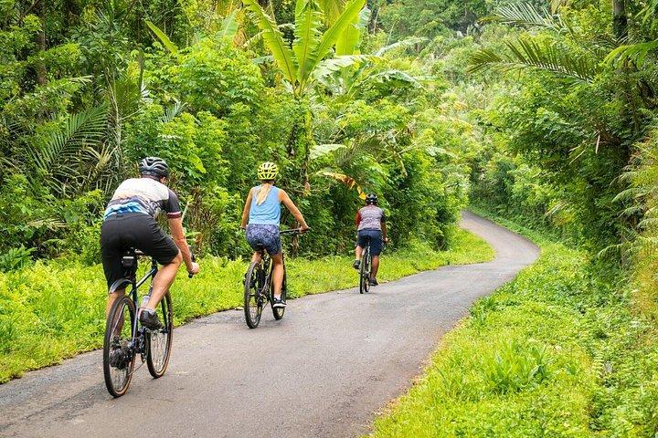 3 Day Kaura Bali Escape with Cultural Experiences