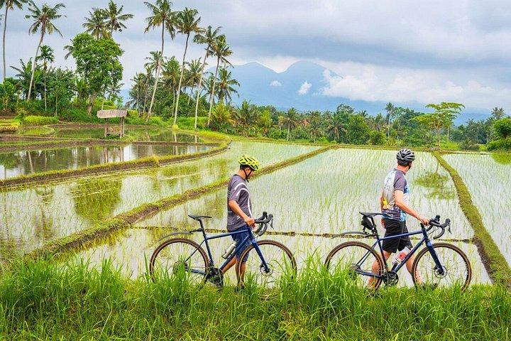 3 Day Kaura Bali Escape with Cultural Experiences
