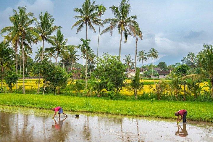 3 Day Kaura Bali Escape with Cultural Experiences