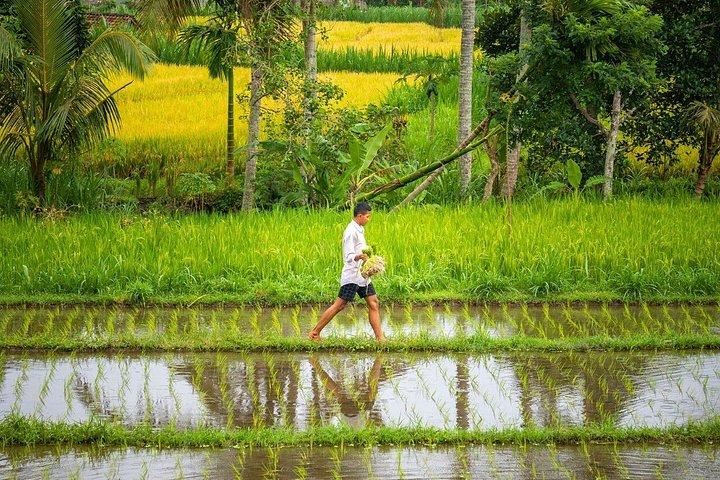 3 Day Kaura Bali Escape with Cultural Experiences