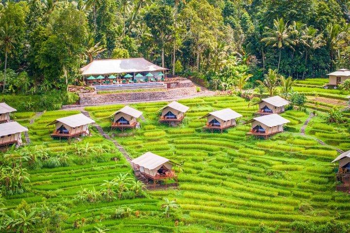 Fuga di 3 giorni a Kaura Bali con esperienze culturali