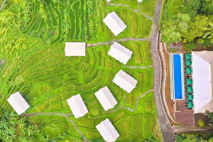 3 Day Kaura Bali Escape with Cultural Experiences