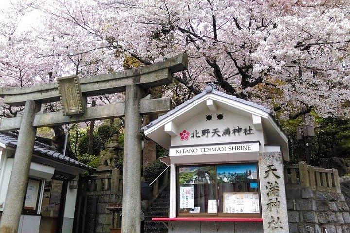 神戸・姫路ハイライト 大阪・京都発プライベート日帰りツアー