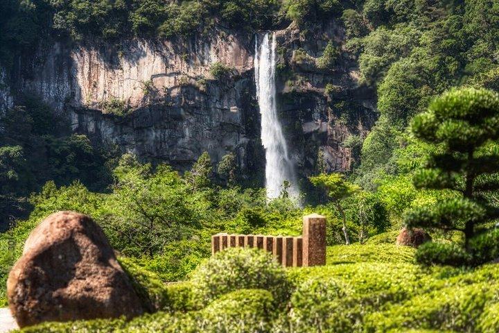 Explore Mount Koya, Nachi Falls & Wakayama