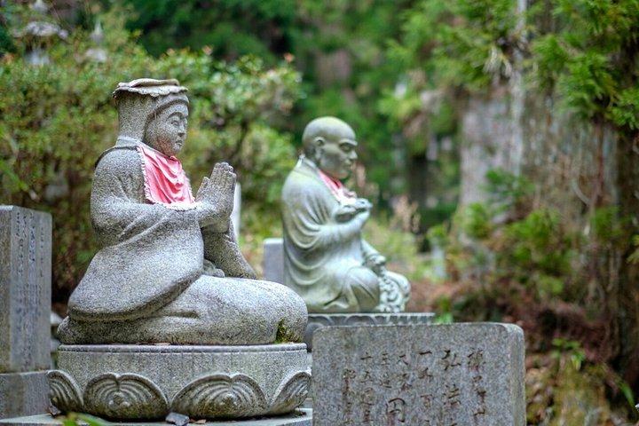 Explore Mount Koya, Nachi Falls & Wakayama