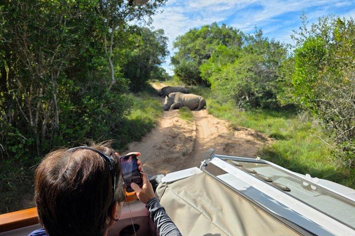 Réserve de chasse Schotia d'une demi-journée (véhicule Safari 4x4 ouvert)