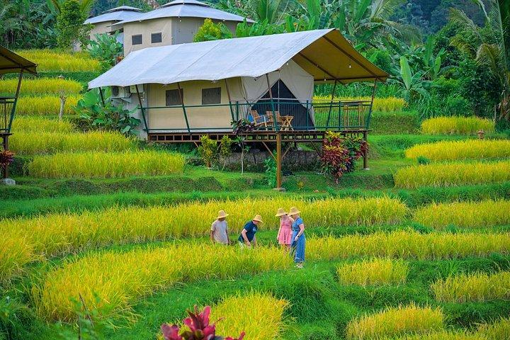 4 Day Cultural Retreat at Kaura Bali with Local Experiences
