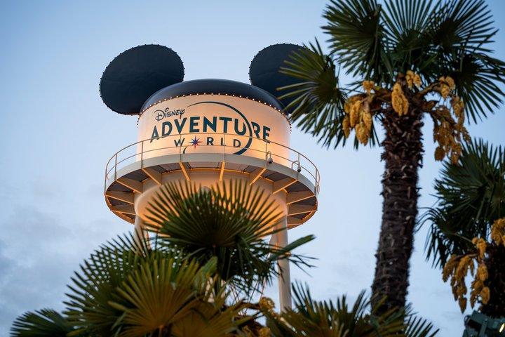 Disneyland® Paris 1 jour avec billets de train aller-retour au départ de Paris