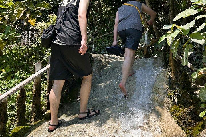 チェンマイブアトーン粘着性の滝（ホテル送迎付き）