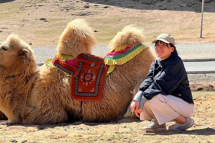 Tagestour Terelj und Chinggis Khan Complex