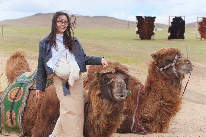 A Day Tour Terelj and Chinggis Khan Complex