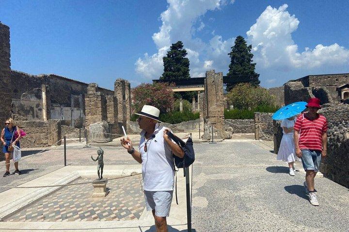 Pompeii Express Guided Tour by Train from Sorrento