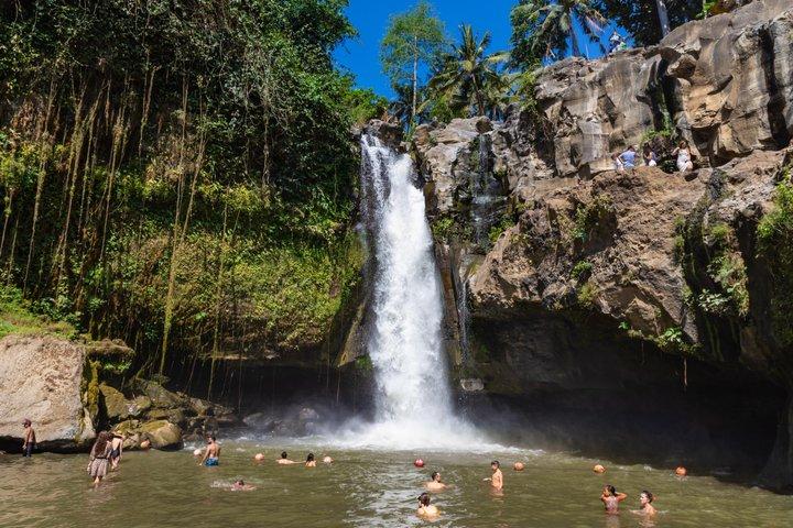バリ島プライベート日帰りツアーを現地ドライバーでカスタマイズ