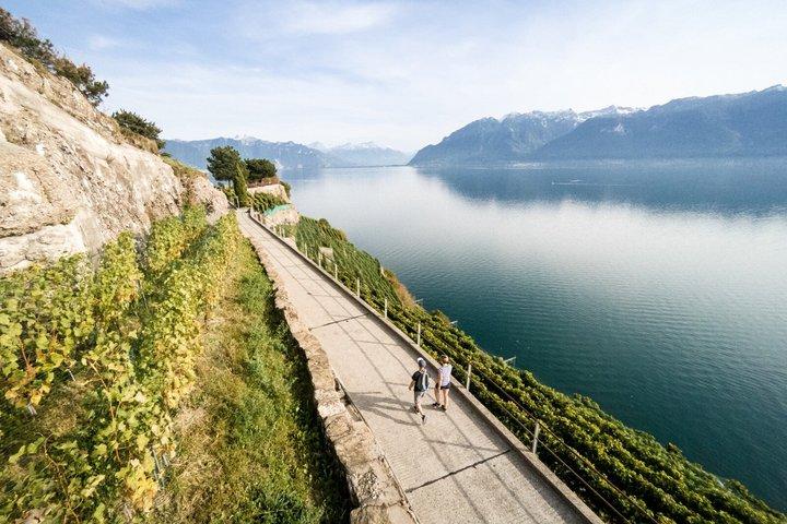 Lavaux wijn- en wijngaardervaring met boottocht
