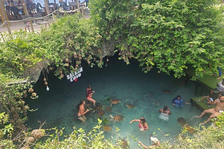 Jozani, Salaam Cave and Mtende Beach