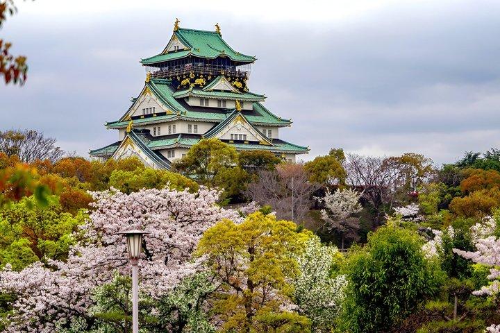 Osaka Full Day Walking Tour with Local Expert Guide