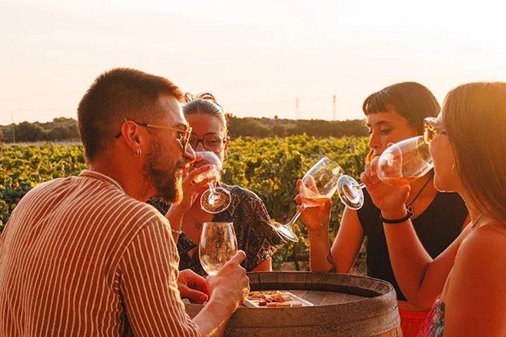 Tour pela vinícola em Menorca com degustação de vinhos