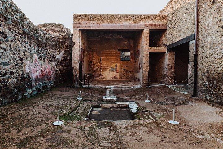 ヘルクラネウム半日小旅行（ローマ発）