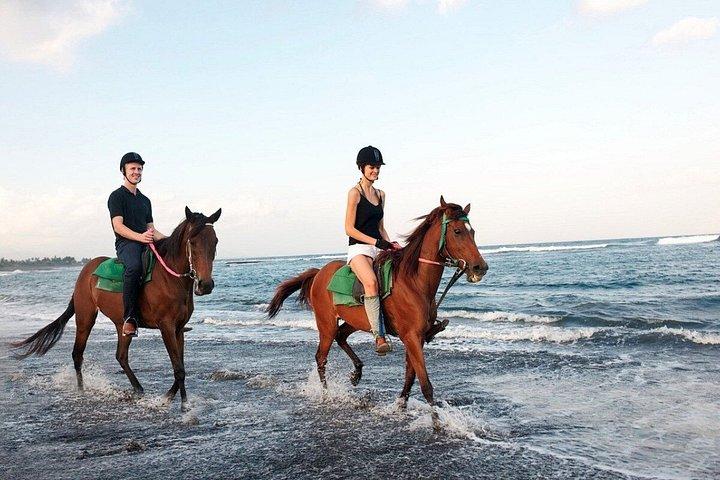 バリ島のブラックサンドビーチ乗馬アドベンチャー