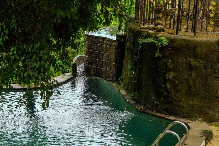 バリATVライドウブドの滝,ライスフィールド,川,キングコン寺院洞窟