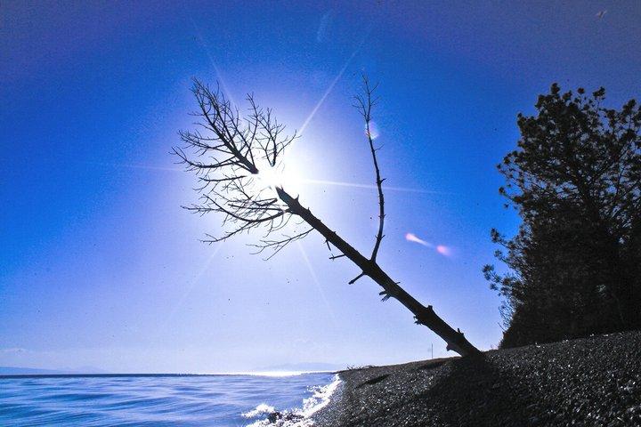 Privat halvdags sø Sevan, Sevanavank Tour fra Jerevan