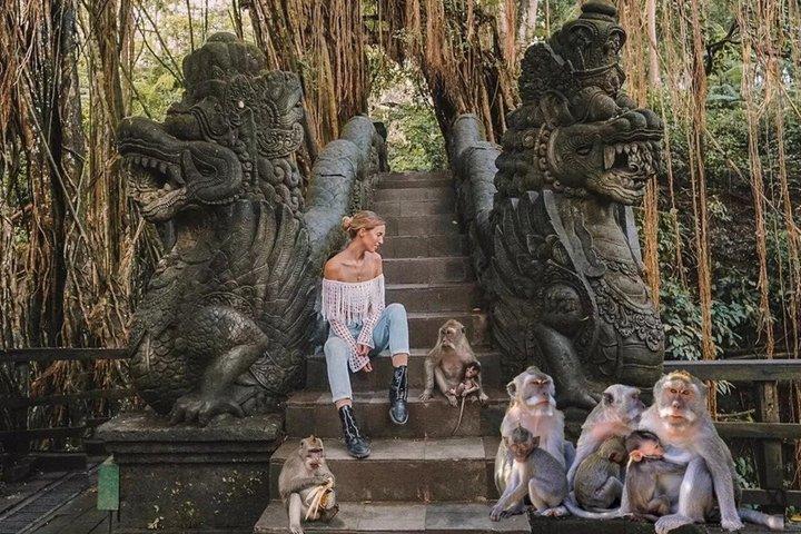 Bali Private Day Tour with Driver Service