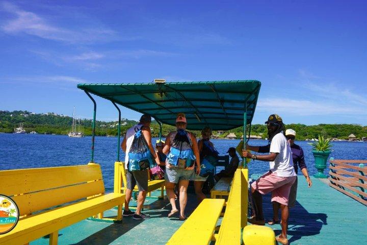 Roatan chocolate and rum company tour with optional stops