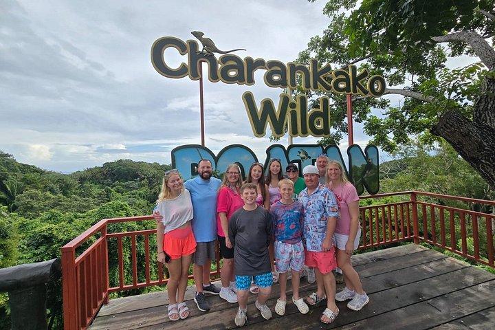 Roatan chocolate and rum company tour with optional stops