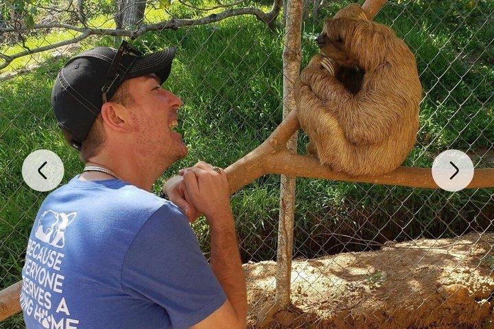 Roatan chocolate and rum company tour with optional stops