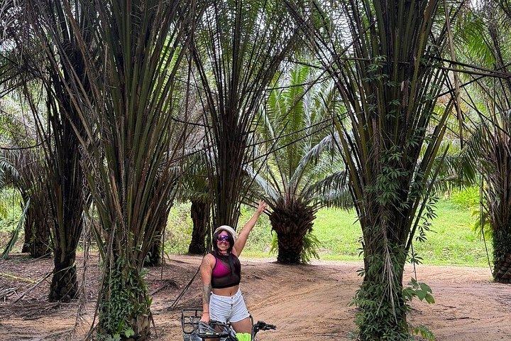 Private Jungle ATV Tour in Bay Islands