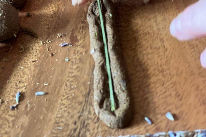 Make Natural Tahoe Incense with Wild Herbs & Pine Resin