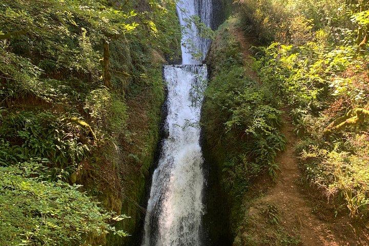 Multnomah Falls and Columbia Gorge Audio Tour