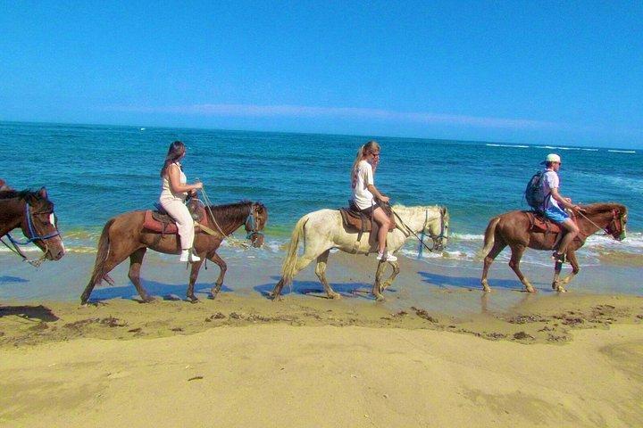 プエルトプラタのビーチ乗馬アドベンチャー