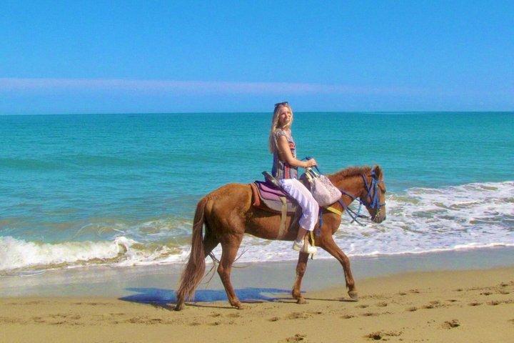 プエルトプラタのビーチ乗馬アドベンチャー