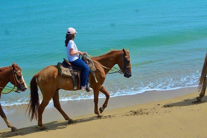 プエルトプラタのビーチ乗馬アドベンチャー
