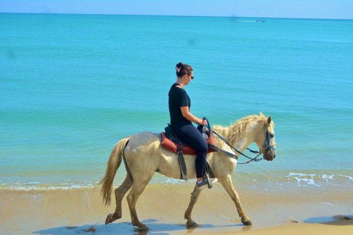 プエルトプラタのビーチ乗馬アドベンチャー