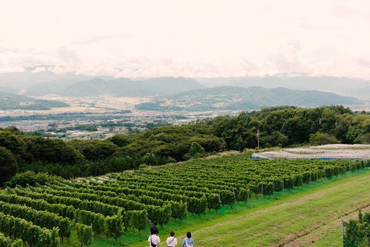 Nagano Private Winery Tour with Complimentary Transport