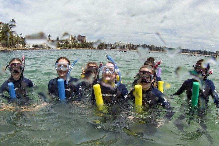 Guided Snorkel Tours in Sydney's Cabbage Tree Bay