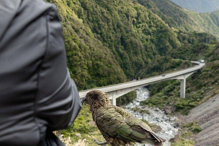 Arthur's Pass Nationalpark Tagestour mit TranzAlpine Train