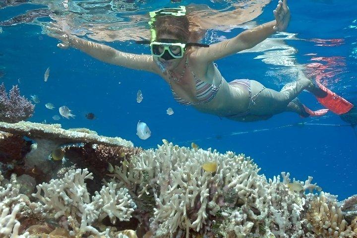 ラ・エントレガ・ワトゥルコでのシュノーケリングと灯台ツアー