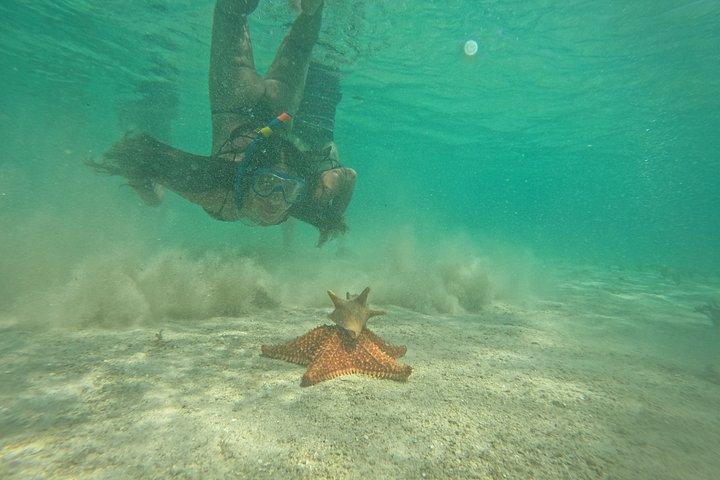 サンブラス諸島のペロ・チコ島とその他3つの島を巡るランチ付きツアー