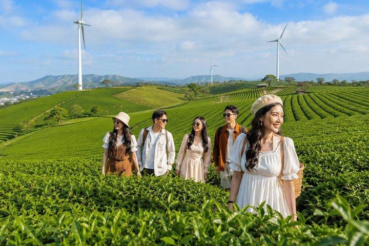 少人数制ダラットサンライズ雲狩り,ティーヒル,イチゴ農園