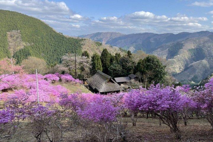 Privat dagstur till Okutama & Hinohara från Tokyo | Hossawa Falls