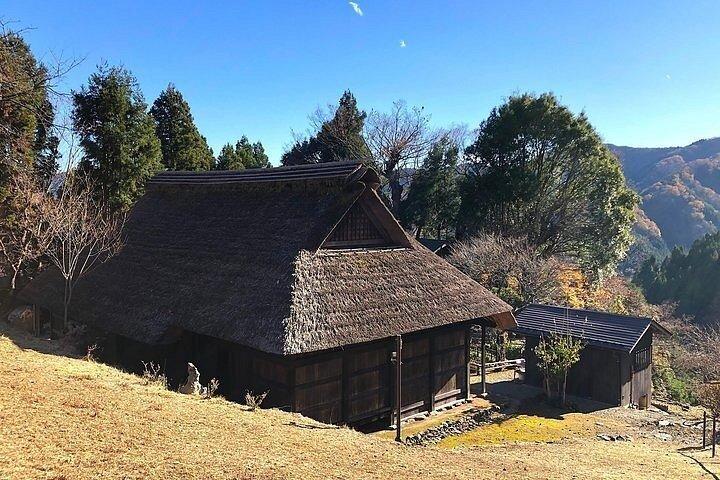Privat dagstur till Okutama & Hinohara från Tokyo | Hossawa Falls