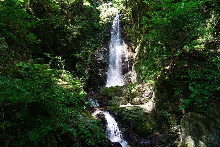 Privat dagstur till Okutama & Hinohara från Tokyo | Hossawa Falls