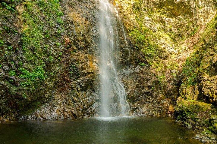 Privat dagstur till Okutama & Hinohara från Tokyo | Hossawa Falls